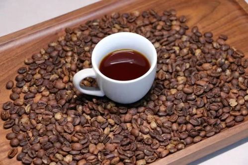 保山小粒咖啡榮獲 全國名特優新農產品 稱號