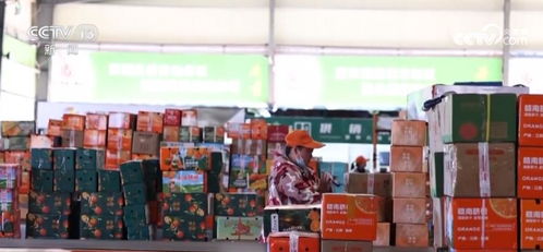 透過數(shù)據(jù)看 暖意 多措并舉促經(jīng)濟(jì) 惠民生 暖民心