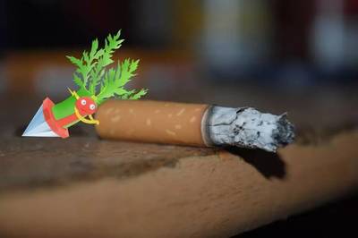 許昌電石獸:河南籍&ldquo;寶可夢&rdquo;,實力堪比皮卡丘!丨百城神獸圖鑒