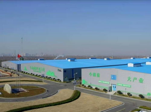 從煤炭到金針菇 電石產業轉型中的食用菌超級工廠