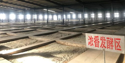 諸城密州酒業獲評全國質量檢驗穩定合格產品，彰顯品質實力